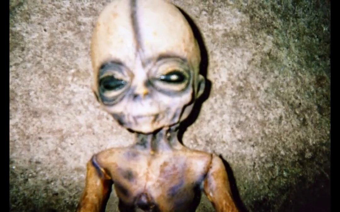 Boyd Bushmans UFO DEAD ALIEN PICTURES EXSTENDED