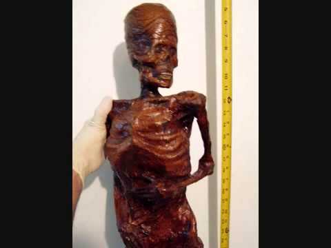 Evidence of  Aliens - Pictures Of Real Aliens - Photos de Extraterrestres / UFO Files