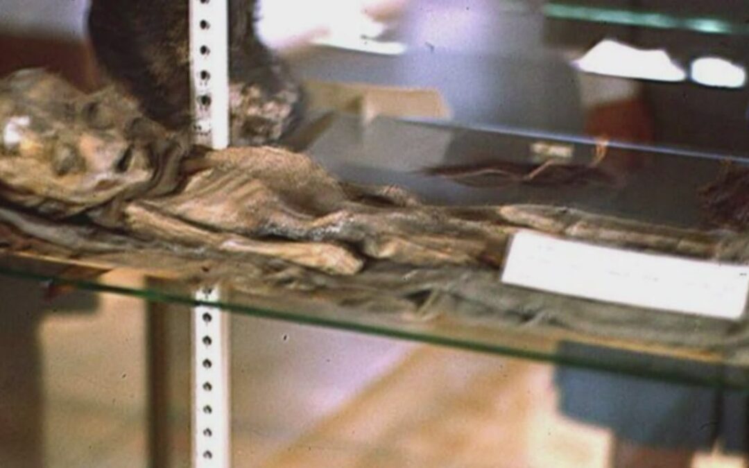 New photos of alleged Roswell alien has people talking