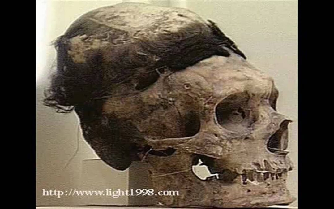ufo pictures 2011 Alien skulls: more than just history