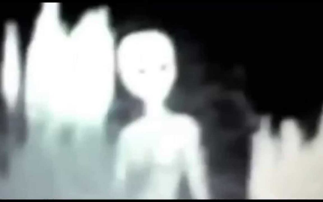 Ufo and alien pictures ★ 100 % real ★
