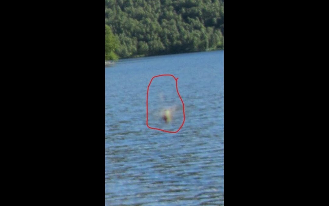 UFO- What you see in these Pictures?
