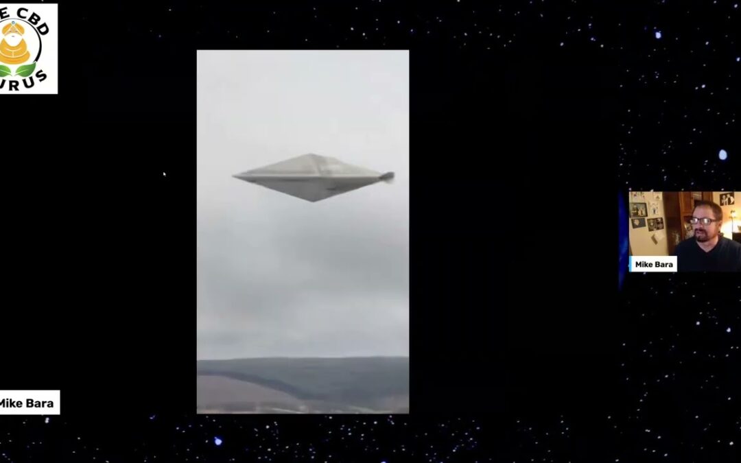 Analysis of Calvine UFO Photo