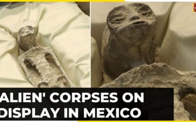 Mysterious Non-Human-Like Fossils Spark Alien Debate, See Pictures Here
