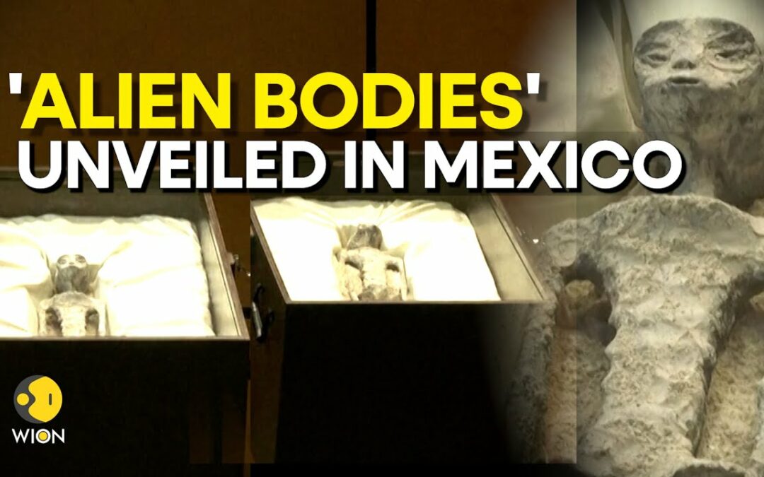 MEXICO UAP HEARING: Remains of 'non-human' beings showcased at UFO hearing | WION Originals