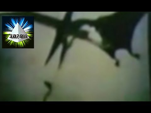 Billy Meier 💫 Time Travel Photos Dinosaur Pictures UFO Proof 👽 Pleiadian Alien Hoax