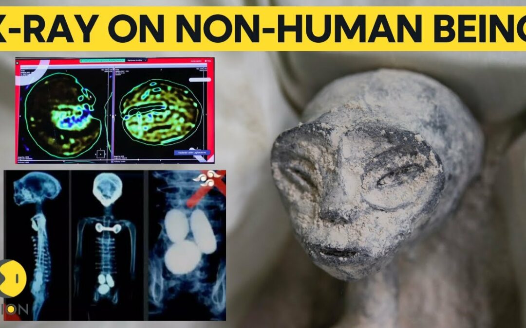 Mexican UFO expert conducts x-rays on 'non-human' beings presented at Congress | WION Originals