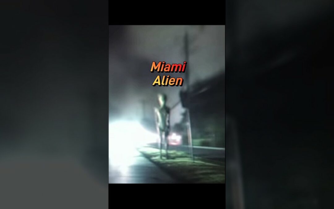 Miami Alien Leaked images #ufo361 #alien