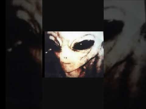 Pictures of aliens from planet serpo