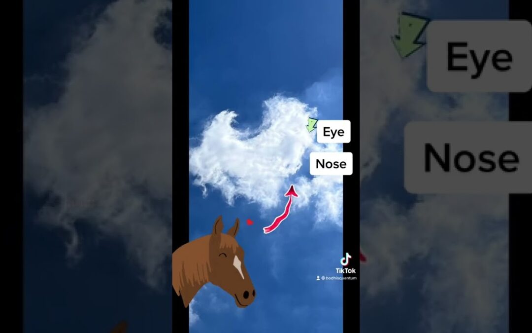 Sky pictures; Horse #sky #awakening #ufo #et #lookup #clouds #picture